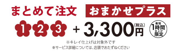 オプション まとめて注文 おまかせプラス